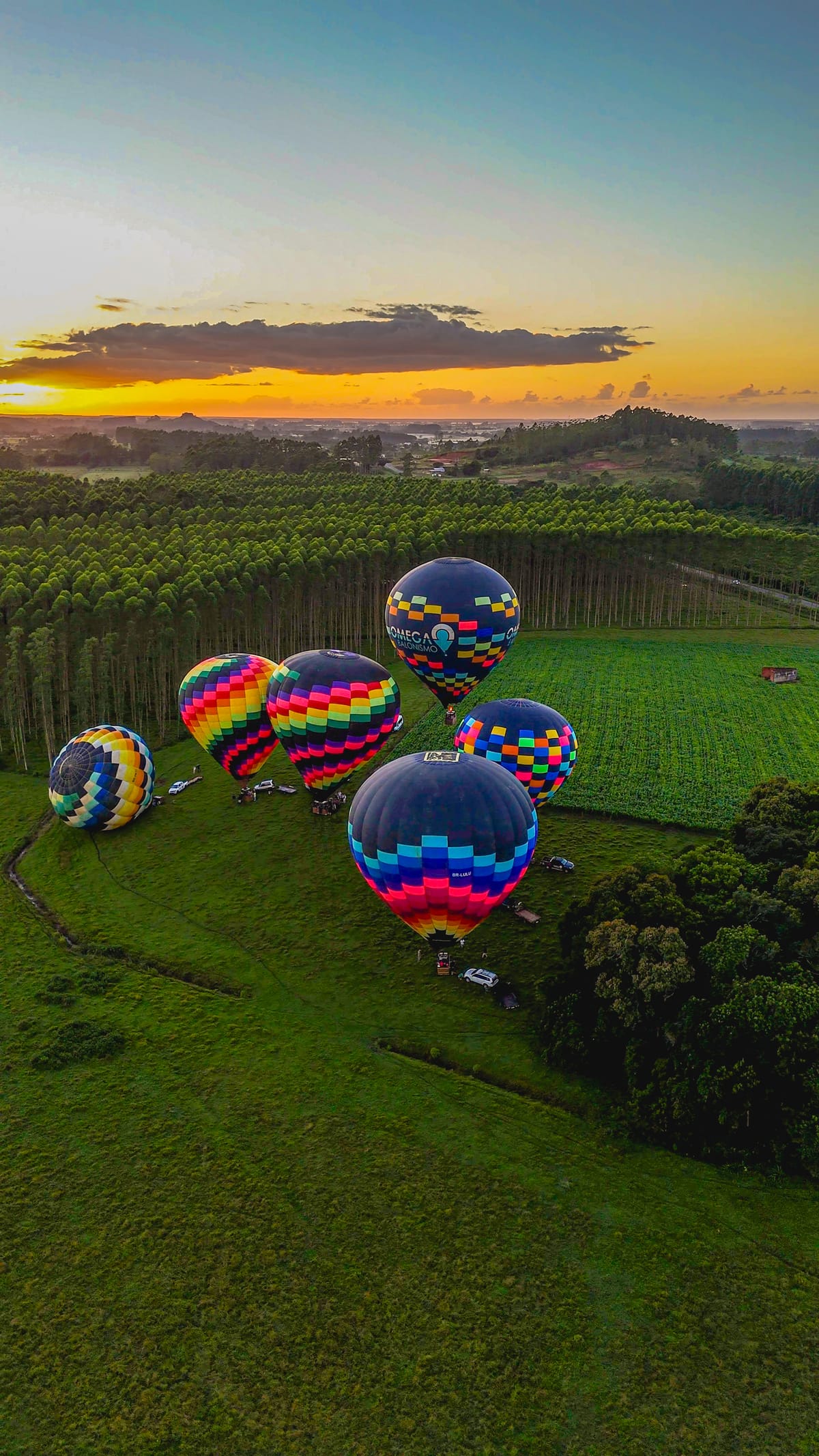 Vista aérea de seis balões coloridos sendo inflados em um campo verde ao amanhecer, com eucaliptos e o céu dourado ao fundo